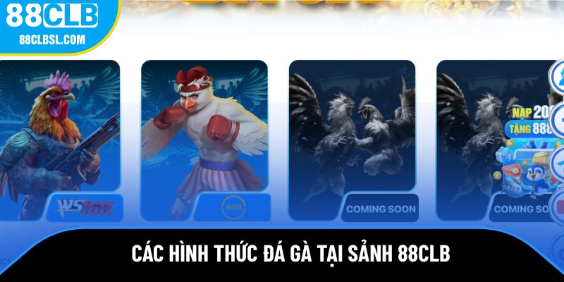 Các hình thức đá gà cực hot tại sảnh 88CLB Các hình thức đá gà cực hot tại sảnh 88CLB