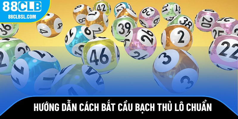 Thủ thuật soi cầu bạch thủ Thủ thuật soi cầu bạch thủ